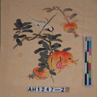 藏品(昭和11年『翠光花鳥版畫集』－石榴小禽)的圖片